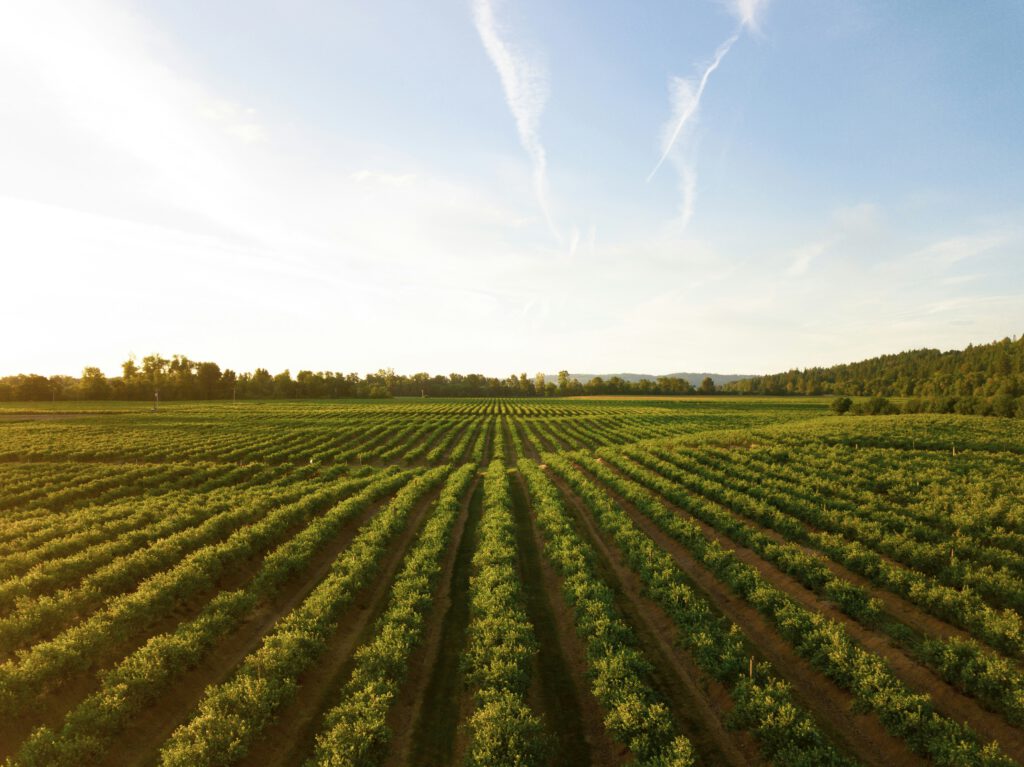Agri-Startups: Diese innovativen Geschäftsmodelle verändern den ...