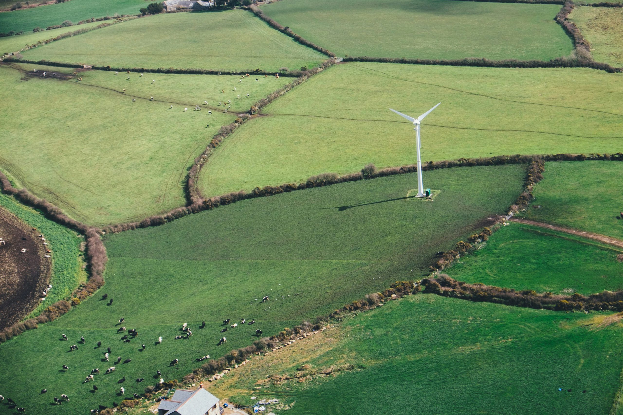 Regenerative Landwirtschaft